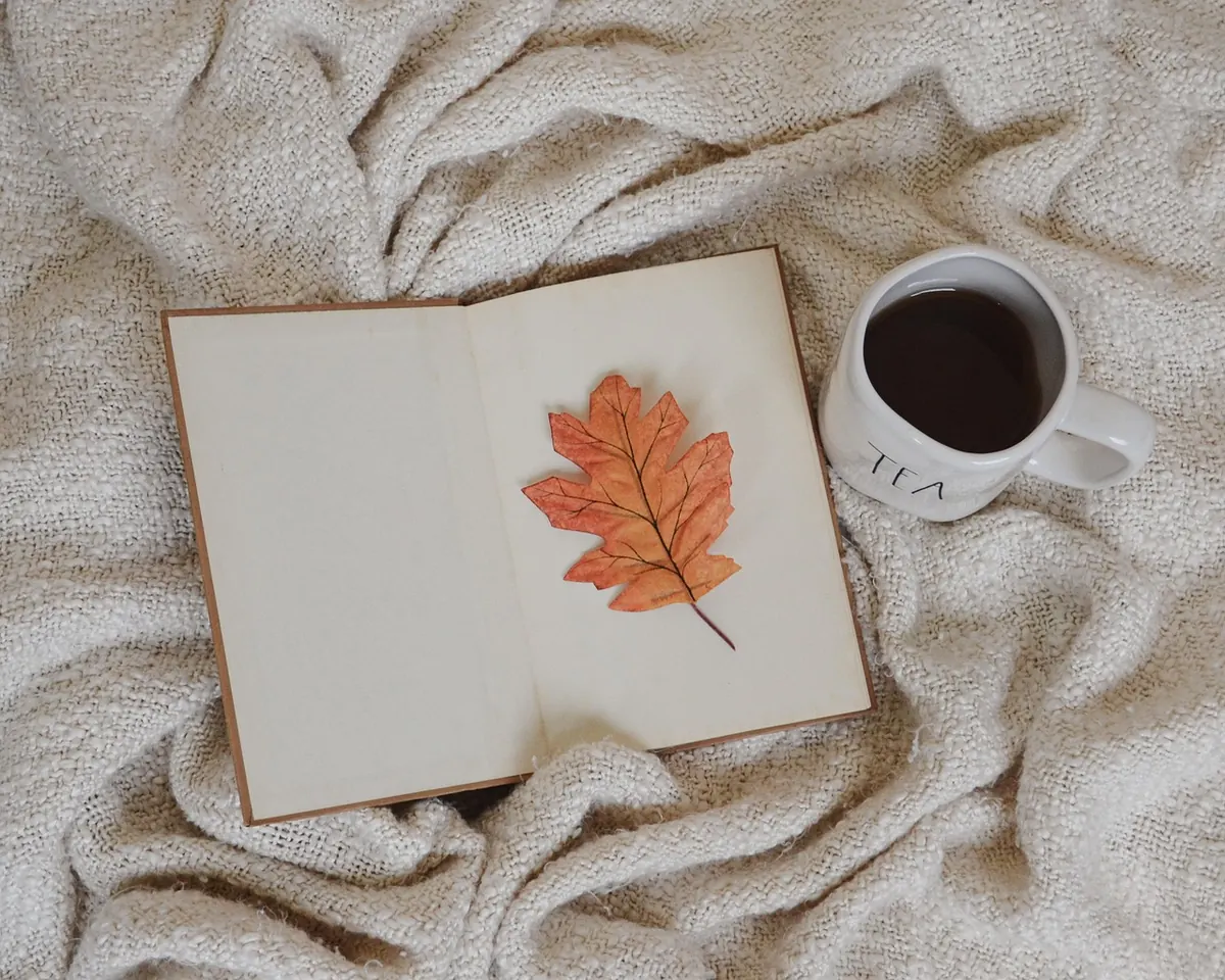 Slow Living in a Small Flat: How to Make a Calm Corner Without a Garden